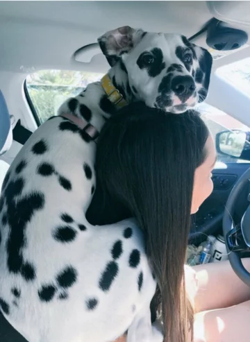 Nie opuszczę cię nawet na chwilę! 