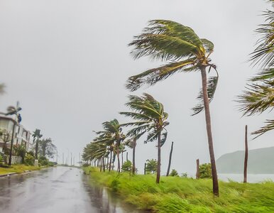 Miniatura: Odwołane loty i zamknięte lotniska. Cyklon...