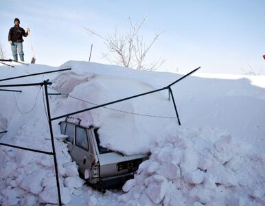 Miniatura: Śnieg przysypał Rumunię. Zaspy wyższe od...