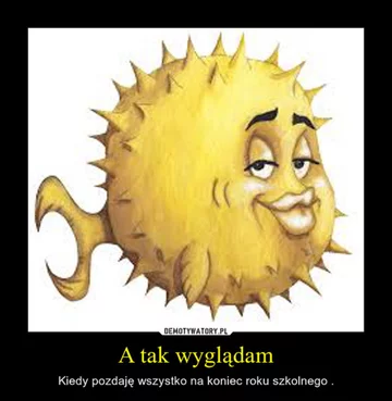 Zakończenie roku szkolnego - okolicznościowe memy 