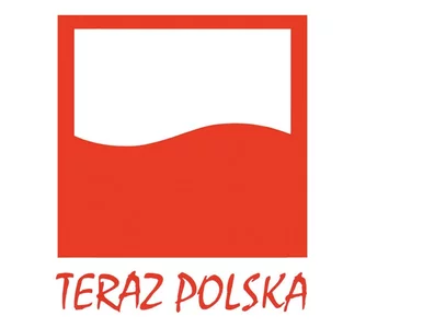 Miniatura: Kogo boli ,,made in Poland”?