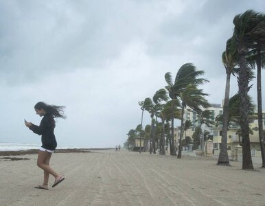 Miniatura: Huragan Irma uderzył w Key West....
