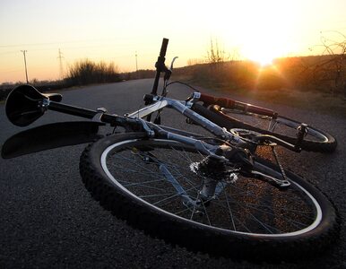 Miniatura: Gimbus zabił rowerzystę