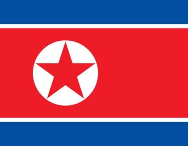 Miniatura: W Korei Północnej runął 23-piętrowy wieżowiec