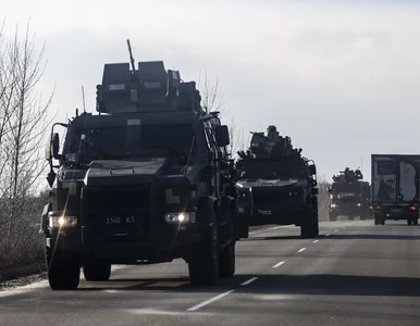 Miniatura: Wojna na Ukrainie. Pierwsi jeńcy pojmani,...