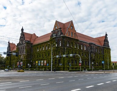 Miniatura: Wrocławskie muzeum szuka kobiety ze...