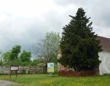 Miniatura: Znasz te miejsca w Polsce? Zawalcz o 100...