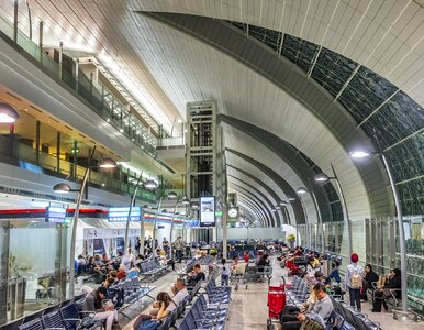 Miniatura: Fałszywe profile linii, złe numery....