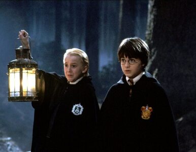 Miniatura: Jesteś fanem „Harry'ego Pottera”? Sprawdź,...
