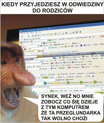 Mem z nosaczem sundajskim 