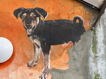 Mural z&nbsp;wizerunkiem pieska