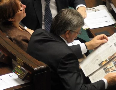 Miniatura: Pracowity jak poseł