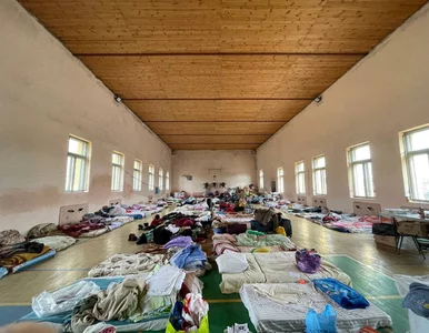 Miniatura: „Dzienniki wojenne”: Lilia z Jaworowa. „Tu...