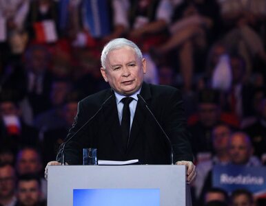 Miniatura: Kaczyński tłumaczy słowa o „modelu...
