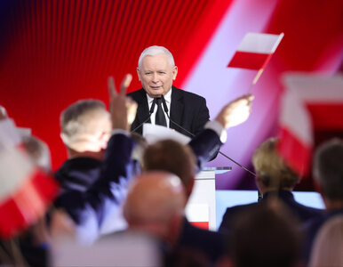 Miniatura: Kaczyński zapowiada blokowanie Zielonego...