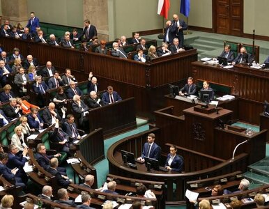 Miniatura: Sejm poparł włączenie celników do systemu...