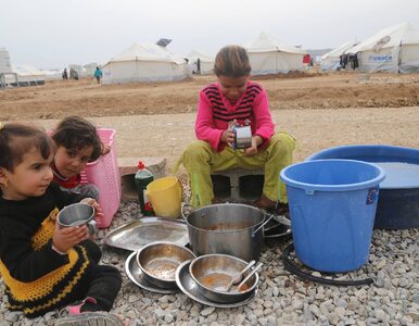 Miniatura: 800 ofiar zatrucia pokarmowego w irackim...