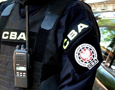Miniatura: Agenci CBA przeprowadzają kontrolę w POSUM