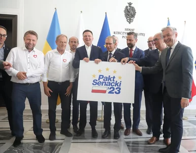 Miniatura: Problemy paktu senackiego. Komisja...