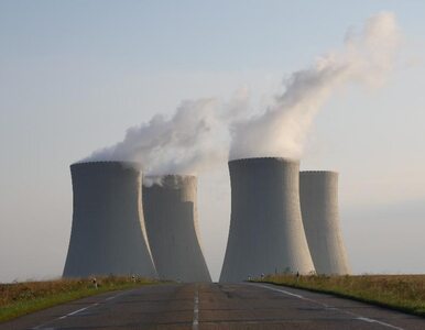 Miniatura: Szwedzi nie pilnują elektrowni atomowych?