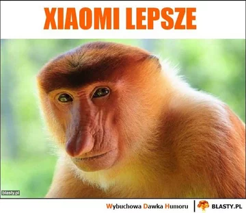Mem z nosaczem i Xiaomi 