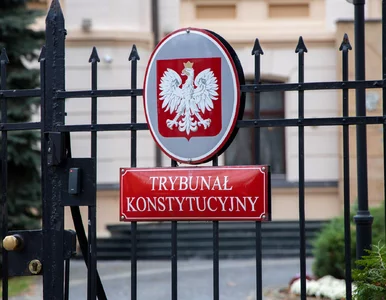 Miniatura: Maciej Berek w Trybunale Konstytucyjnym?...