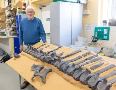 Miniatura: Nowy gatunek dinozaura. Odkrycie emeryta z...