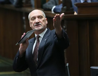 Miniatura: Macierewicz do Tuska: zamieni się pan w...