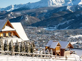 Miniatura: Białe chodniki, dachy i&nbsp;drzewa....