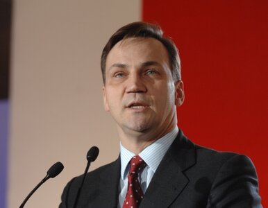 Miniatura: Sikorski: każdy kto wyjeżdża do Egiptu,...