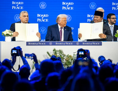 Miniatura: Znamy skład Rady Pokoju. Tusk skomentował...