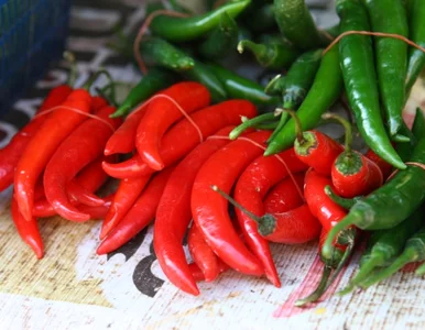 Miniatura: W Anglii serwują jajko, które można jeść...