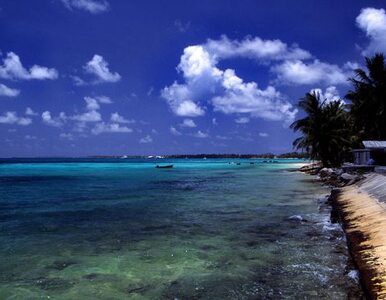 Miniatura: Tuvalu nie ma wody. Wprowadzili stan...