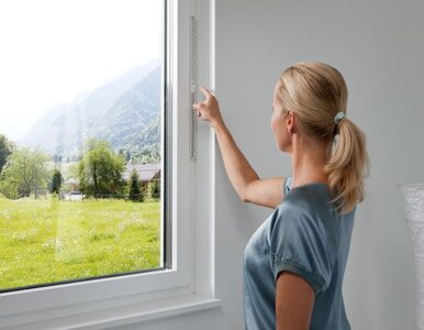 Miniatura: Inteligentne okna odpowiednie dla alergików