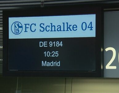 Miniatura: Schalke już w drodze do Madrytu. Celem...