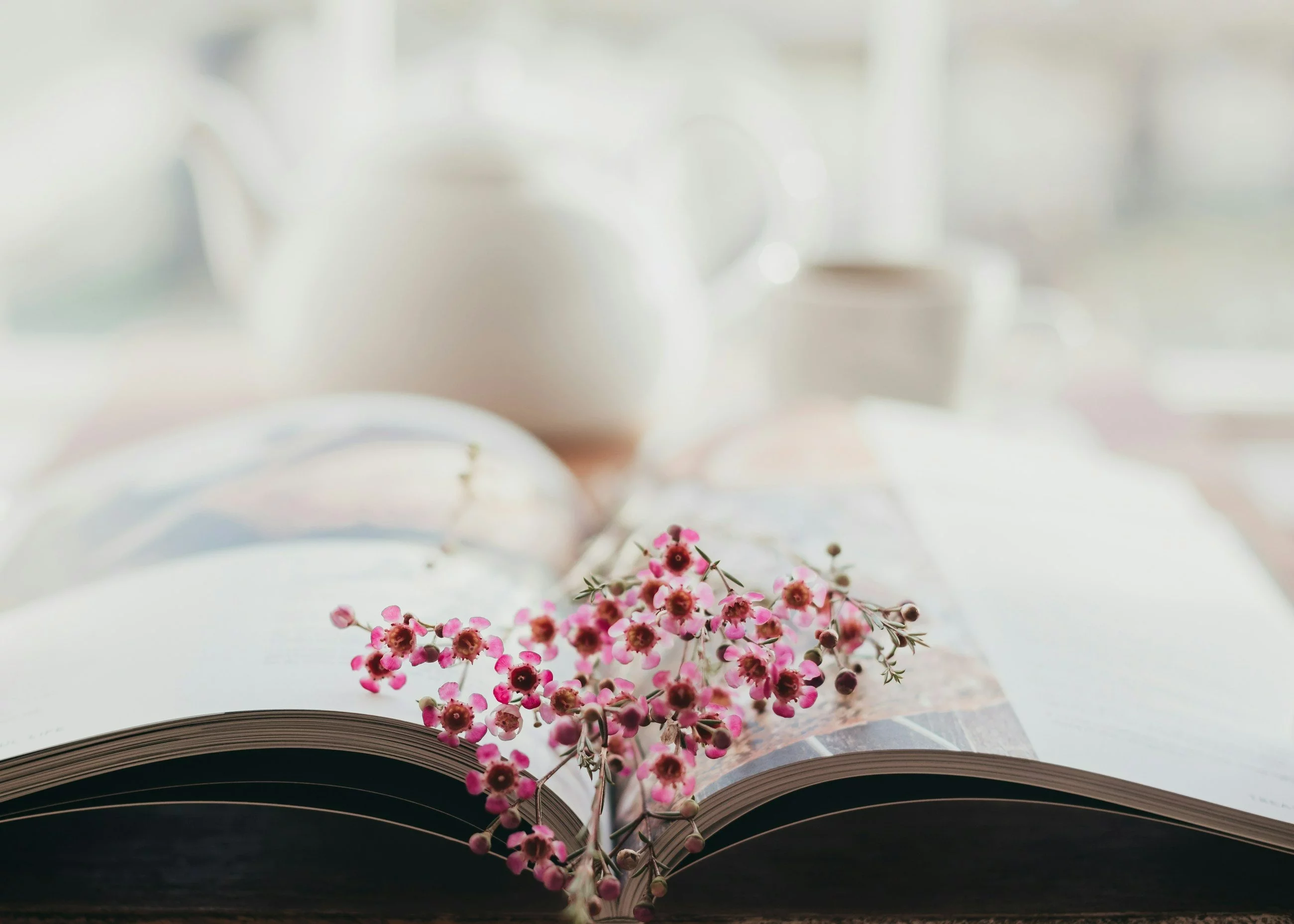 Quiz ortograficzny dla mistrzów. Ch czy h?