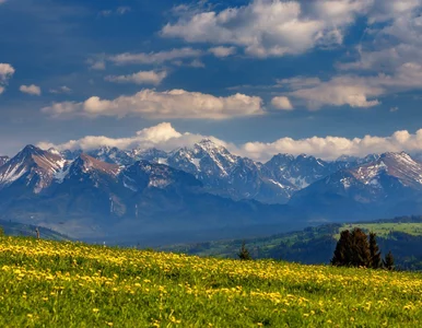 Miniatura: Podhale, Tatry i Pieniny - witaj w...