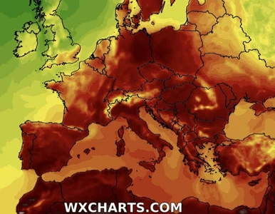 Miniatura: Fala upałów odwołana? Dwa modele i dwa...