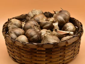 Miniatura: Ten czosnek wspiera walkę...