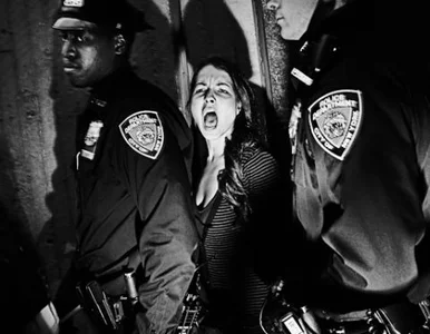 Miniatura: Zdjęcia Polaków wśród najlepszych. Polska...