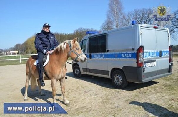 Miniatura: Policja przekonuje - koń lepszy niż...