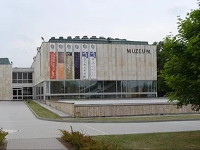 Miniatura: Cierpienie Jezusa jak kąpiel kota? Poseł...