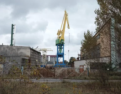 Miniatura: „San Francisco” w Płocku, czyli 1000...