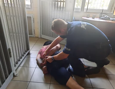 Miniatura: Pijany rowerzysta próbował wyłudzić...