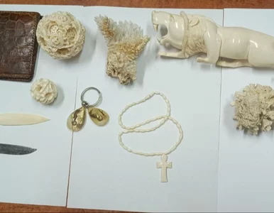 Miniatura: Policja odzyskała przedmioty skradzione z...