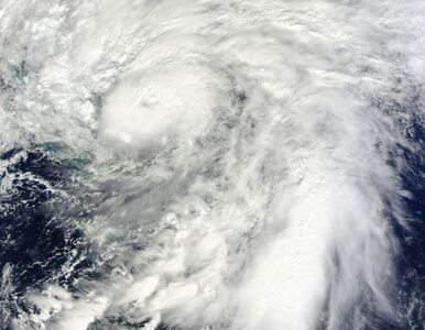 Miniatura: Najsilniejszy huragan w historii uderzył w...