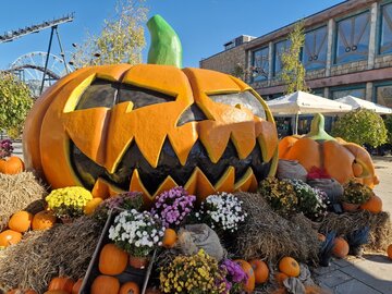 Halloweenowa dynia w&nbsp;Energylandii