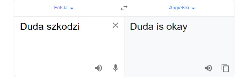 Tłumacz Google i fraza „Duda szkodzi" 