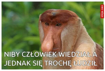 Mem po meczu Polski z Węgrami 