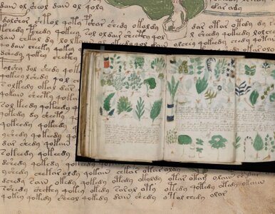 Miniatura: To jedna z największych zagadek...